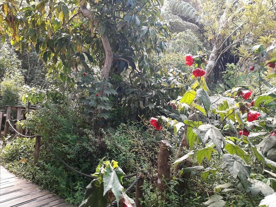 Buena Vista Apartment 玛拉豪 外观 照片